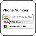 Elementor Form Country Code Icon